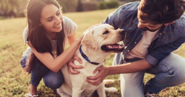 Votre animal de compagnie est-il dangereux pour votre vie de couple ?